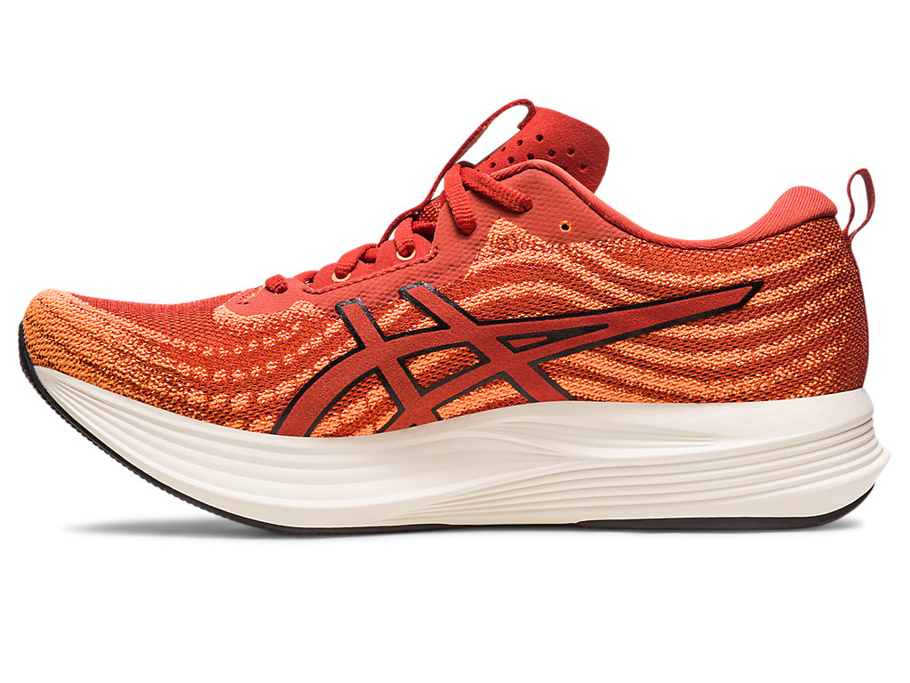 Asics Evoride Speed Running Shoes Panske Hnede Čierne | 9136-XNZUG